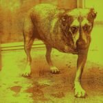 Alice In Chains - Alice in Chains Аудио CD