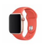 Каишка за смарт часовник Deluxe Series Sport Apple Watch 38-40mm Red