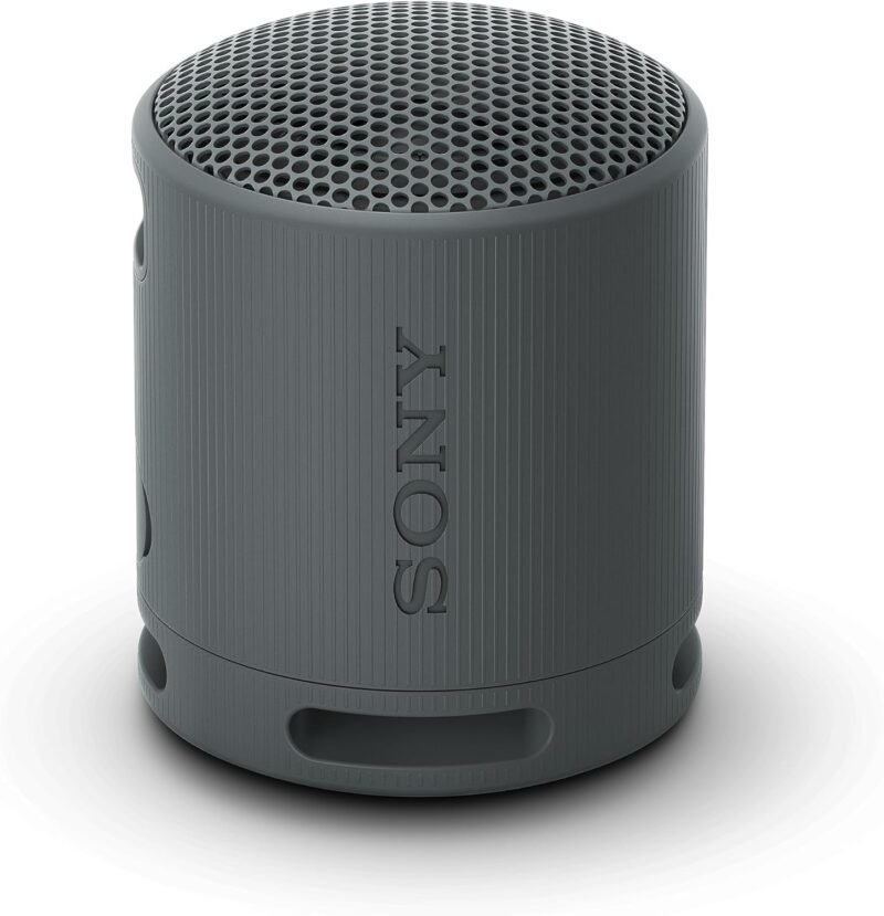 Преносима тонколона Sony SRS-XB100 Wireless Portable Bluetooth Speaker Black